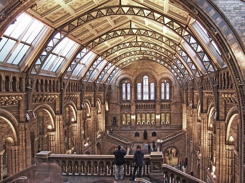 Museo-Natural-Londres