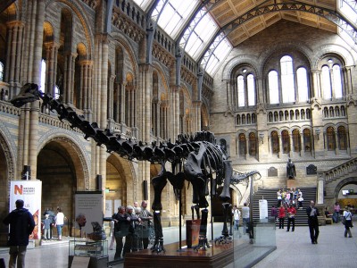 El Museo de Historia Natural de Londres